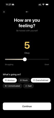 Mood check-in screen